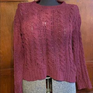 Maroon American eagle sweater